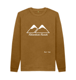 Brown Printed Sweater Front